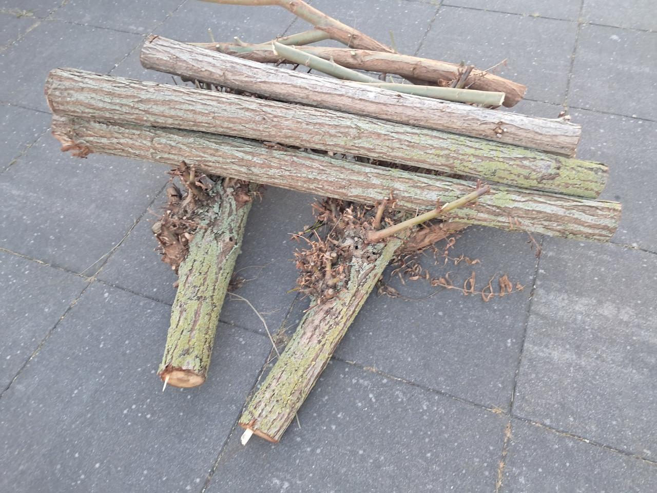 Haardhout - kleine partij wilgenhout
