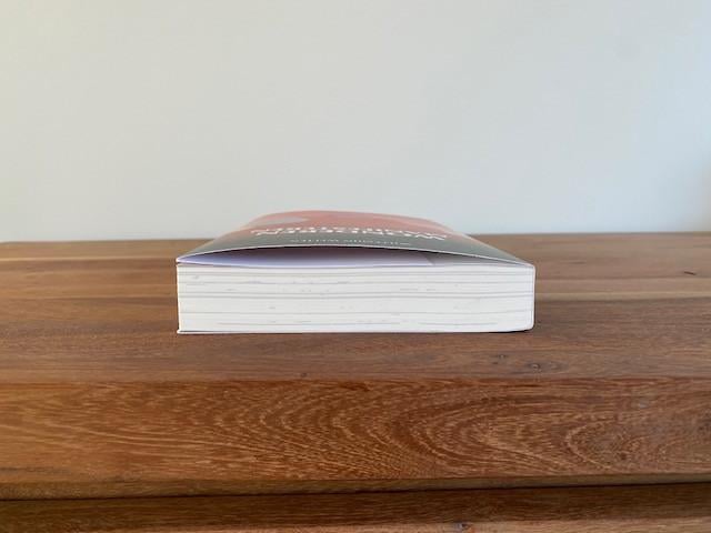 Nieuw | Wonderen manifesteren | Willemijn Welten