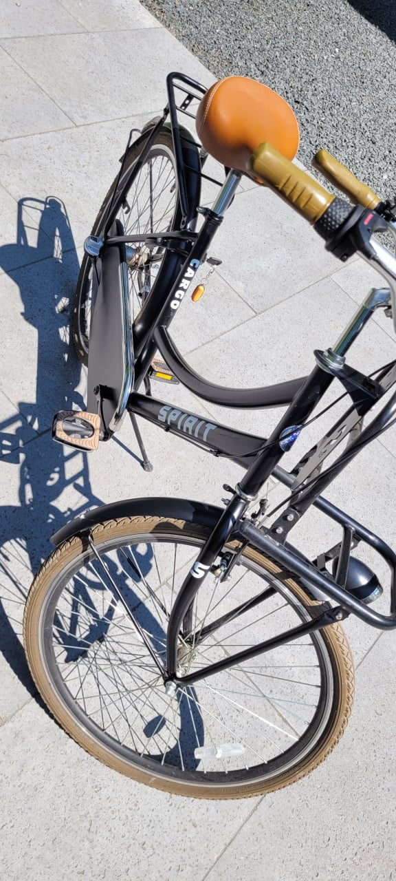 Meisjes fiets