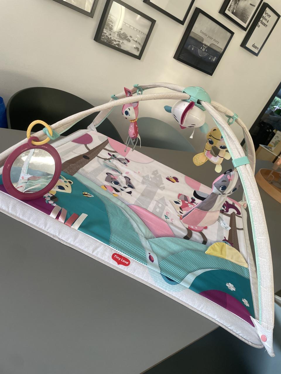 Babygym speelkleed met licht en muziek