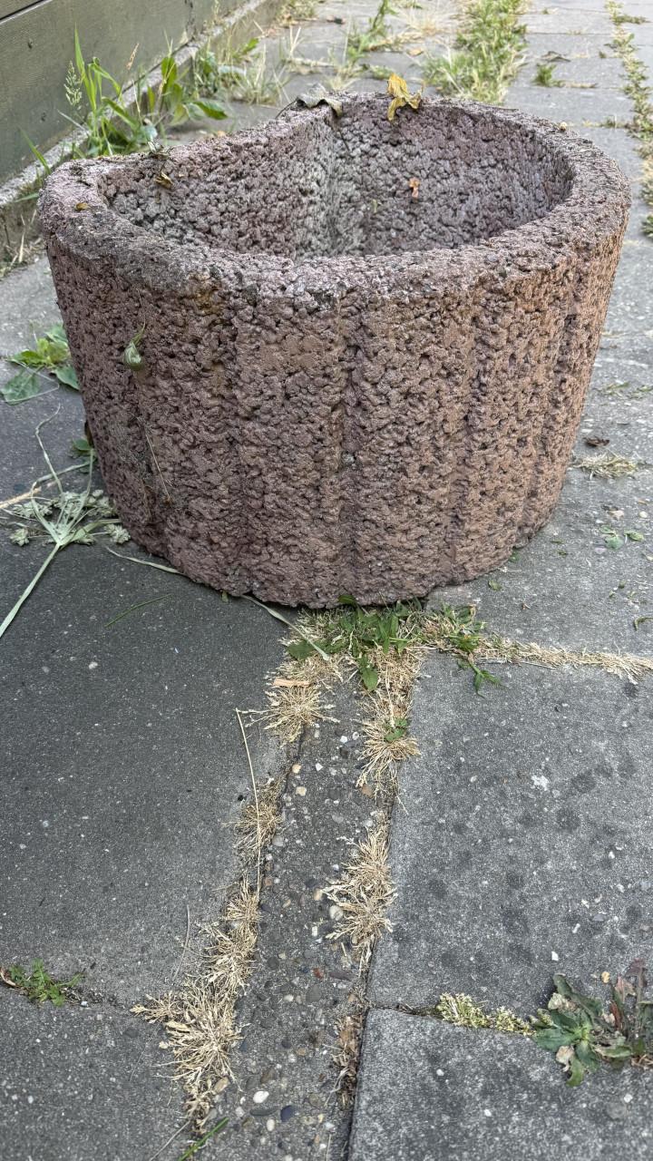 Tuin beton bakjes