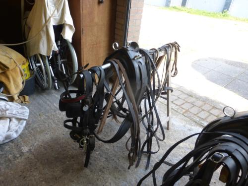 Pony tuig shetlander