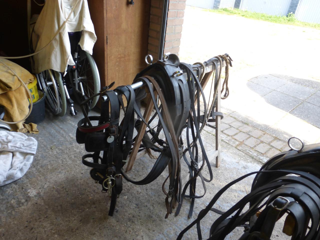 Pony tuig shetlander