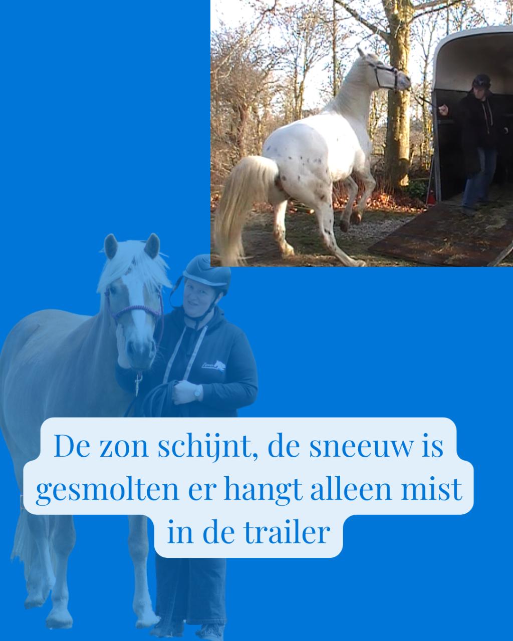 Wie heeft er hulp nodig, jij of je paard?!