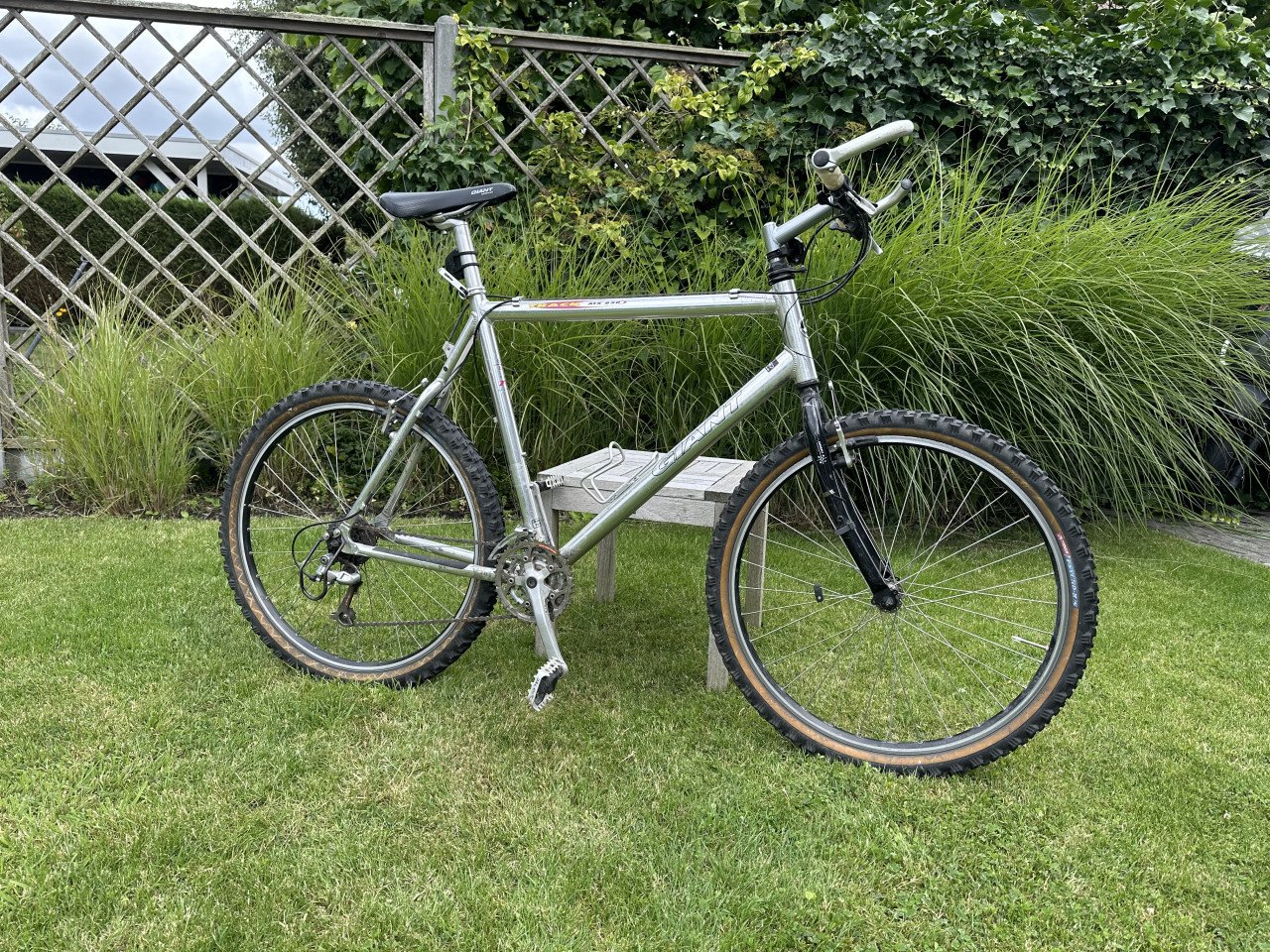 Mountainbike Giant