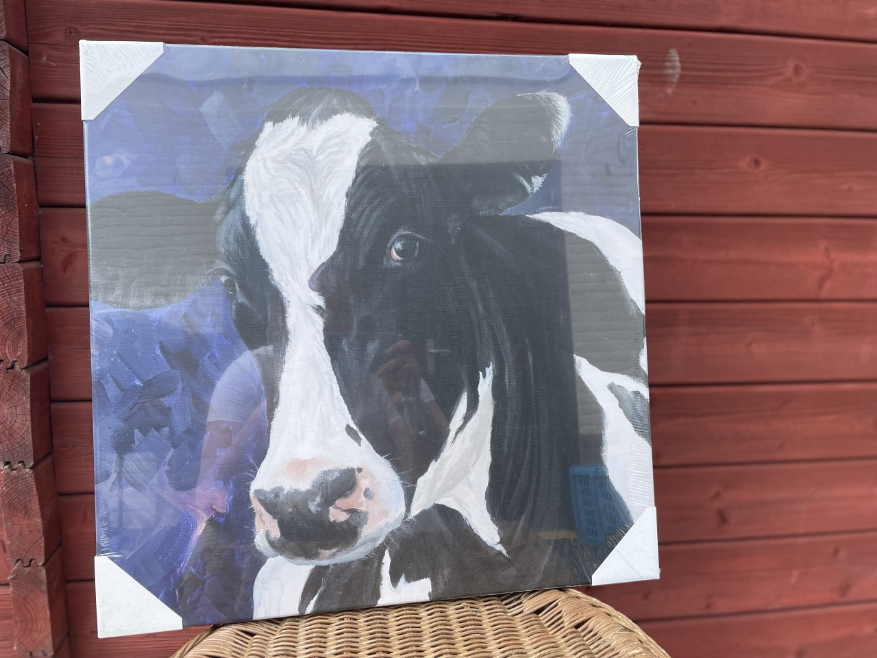 3x NIEUWE Schilderij Koe ❤️🤍💙 in ongeopende verpakking!!!