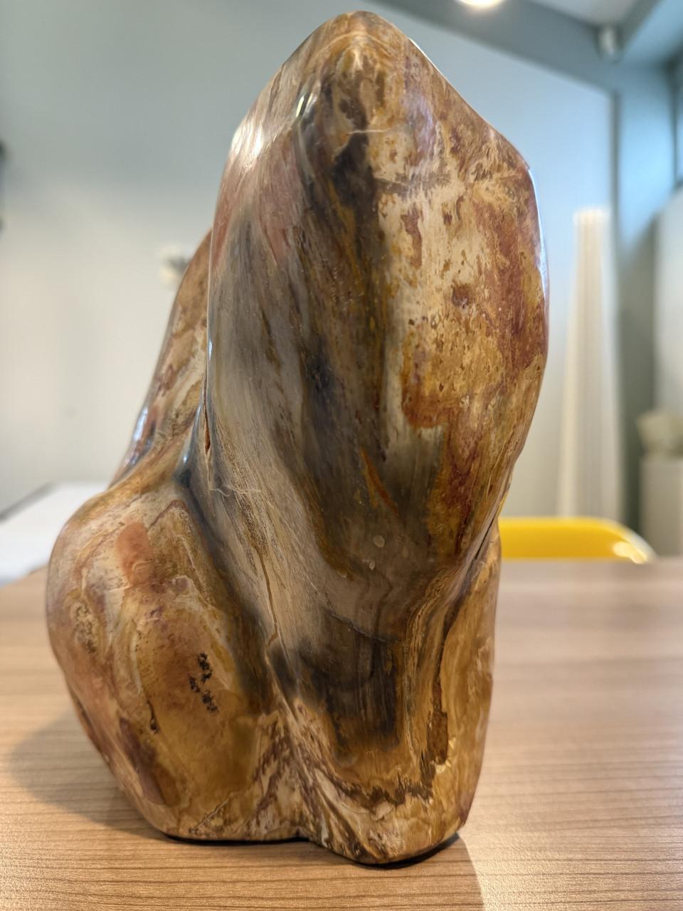 Mineralen: versteend hout