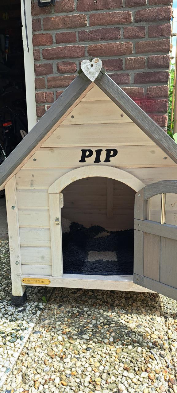 Hondenhok/ kat