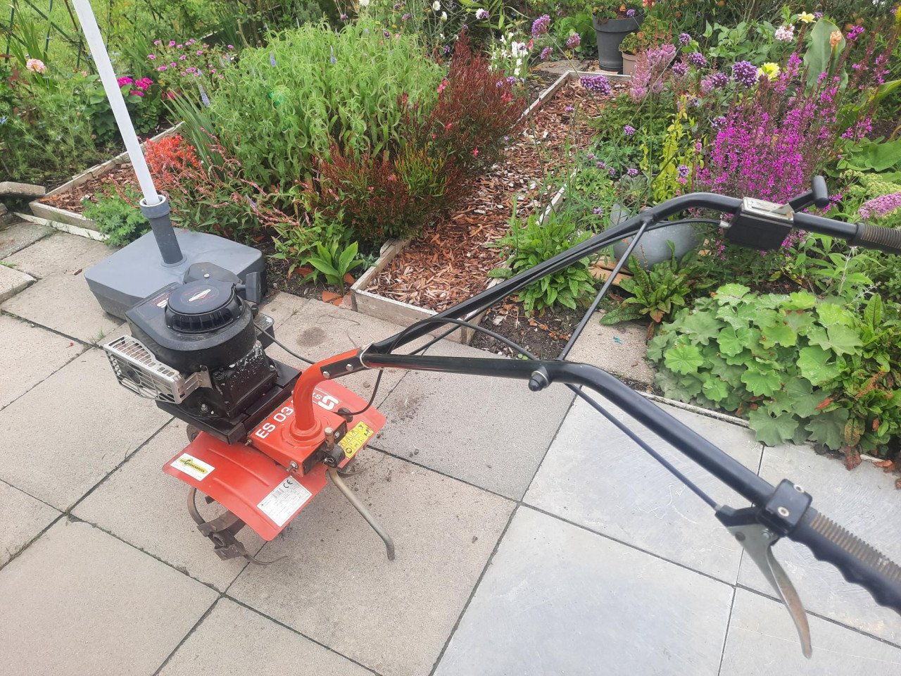 Tuinfrees