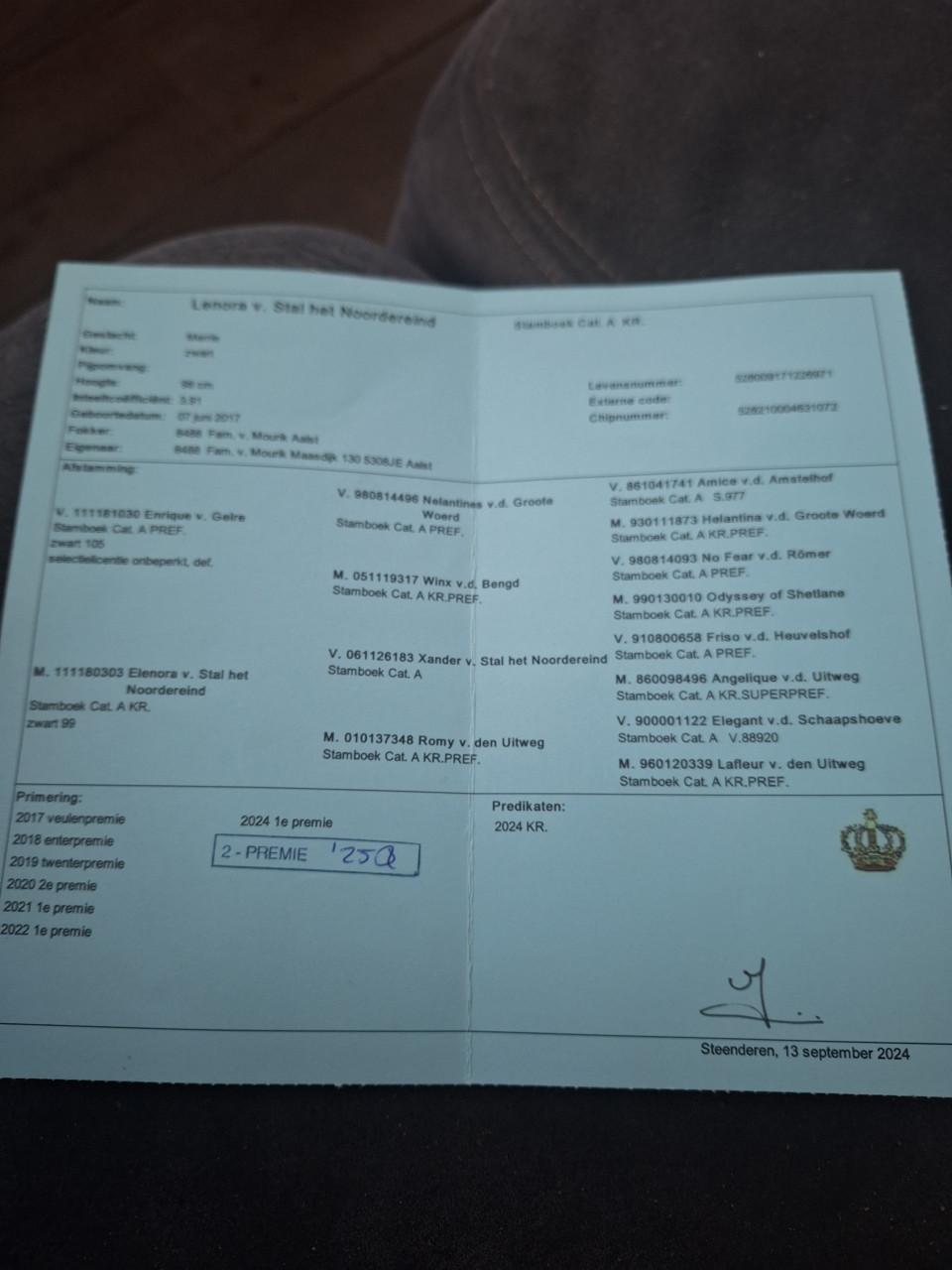 Te koop merrie met merrie veulen VERKOCHT  !!