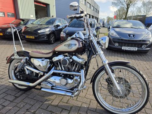 Harley-Davidson 1200😍 Custom Sportster – 95th Anniversary Edition