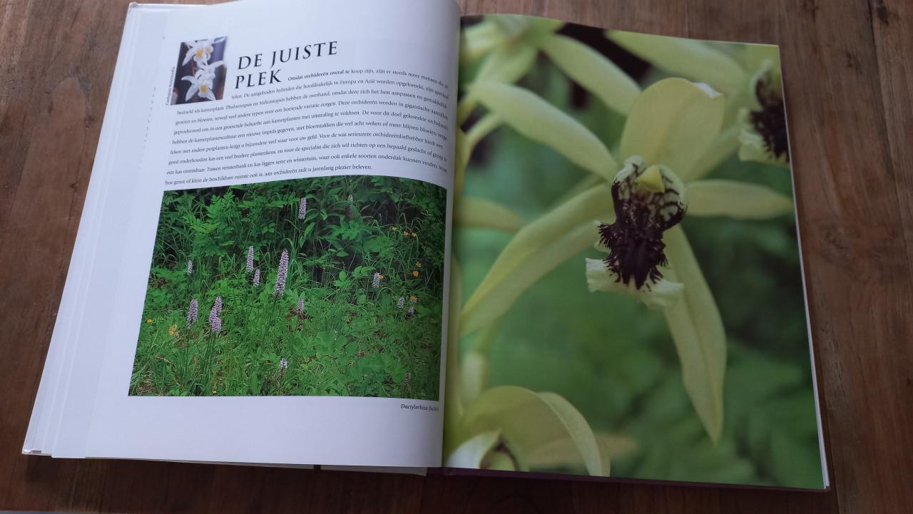 Orchideeën boek