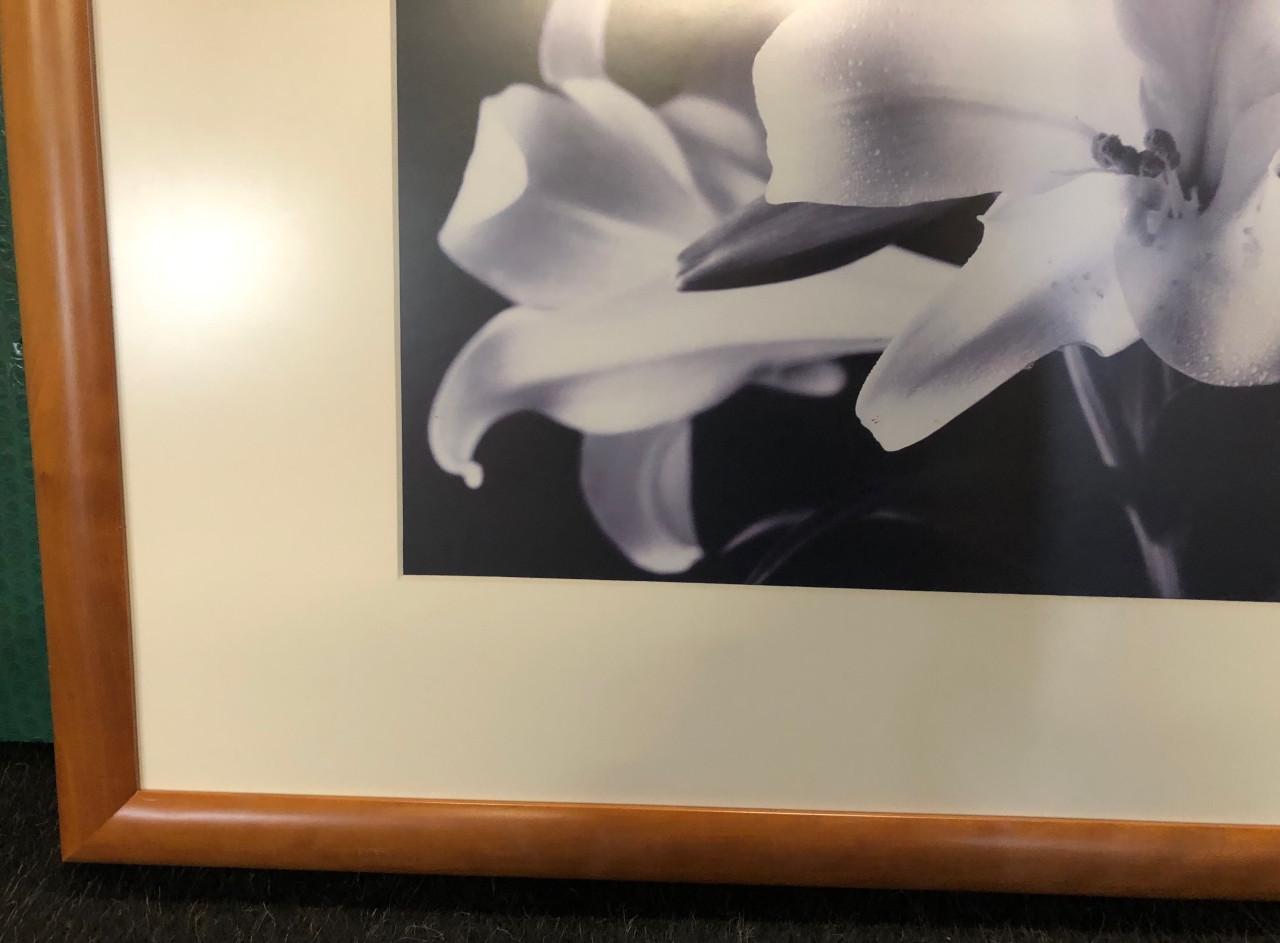 Wanddecoratie/schilderij Bermuda Lilies