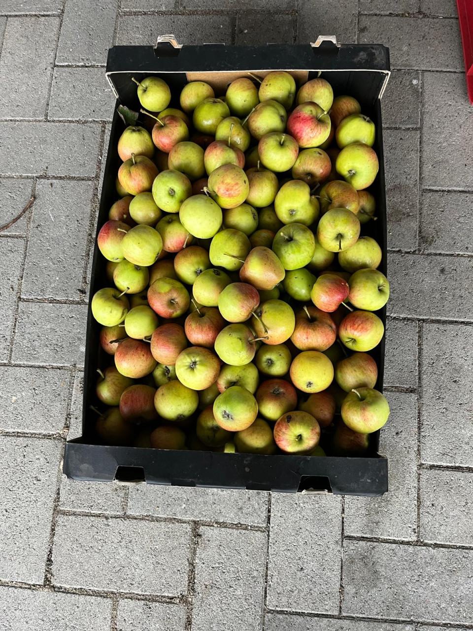 Kleine jonagold appels