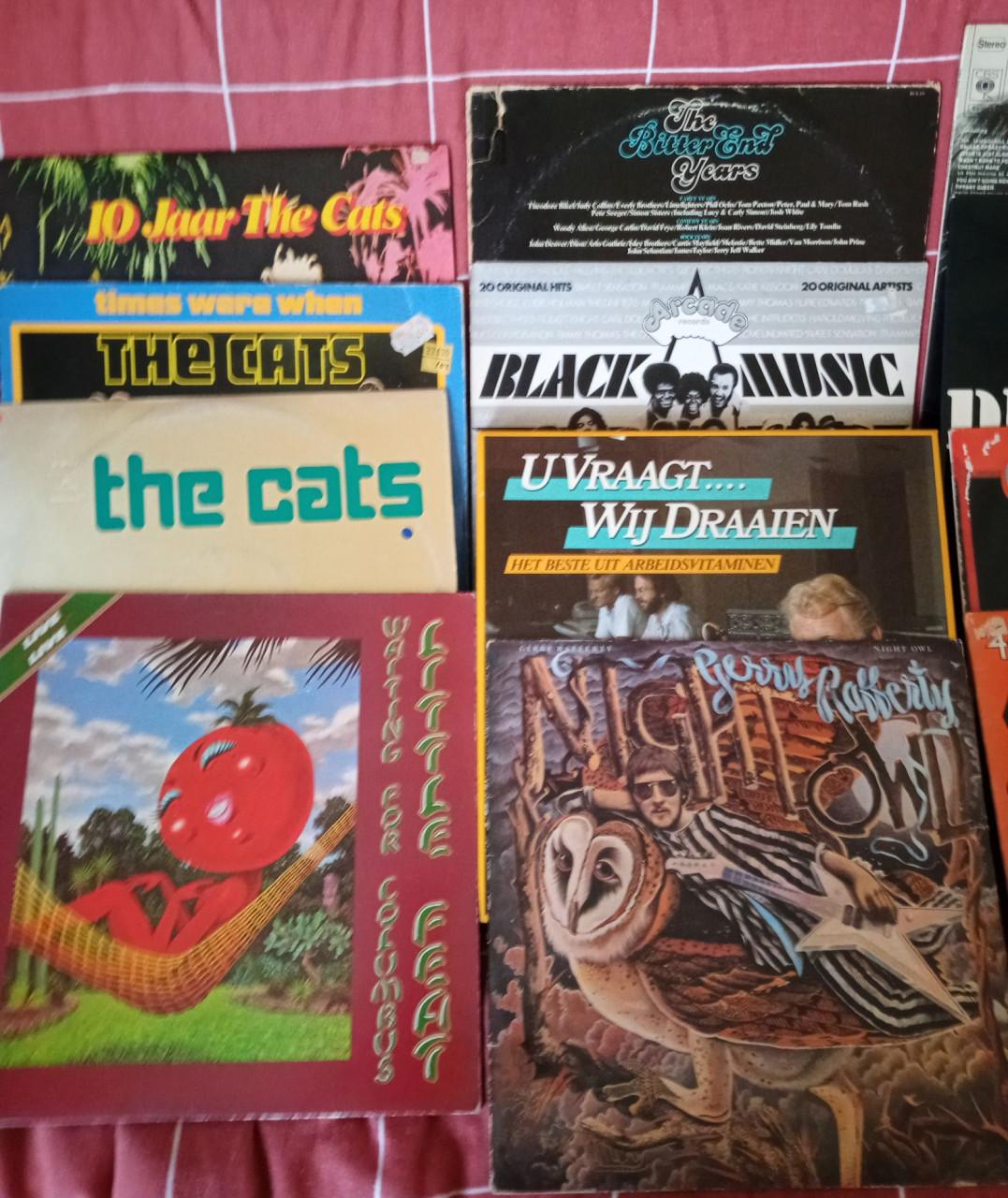 Partij 60 Lp's. Inclusief 6 boxen.