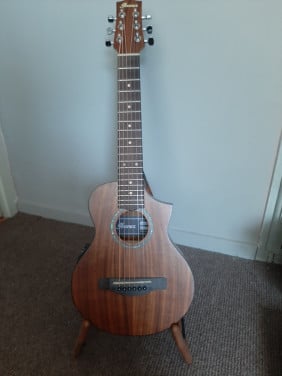 Ibanez EWP Series EWP12WB Electric Acoustic travel guitar