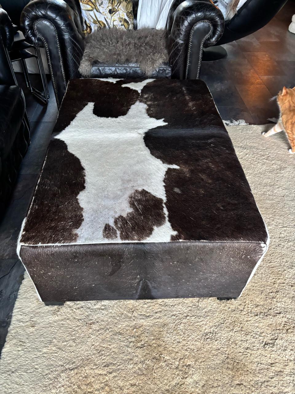 Salontafel/poef/hocker