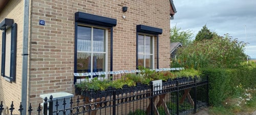 Het plantenkraampje: opgefrist en vol met vaste planten en veel grassen !