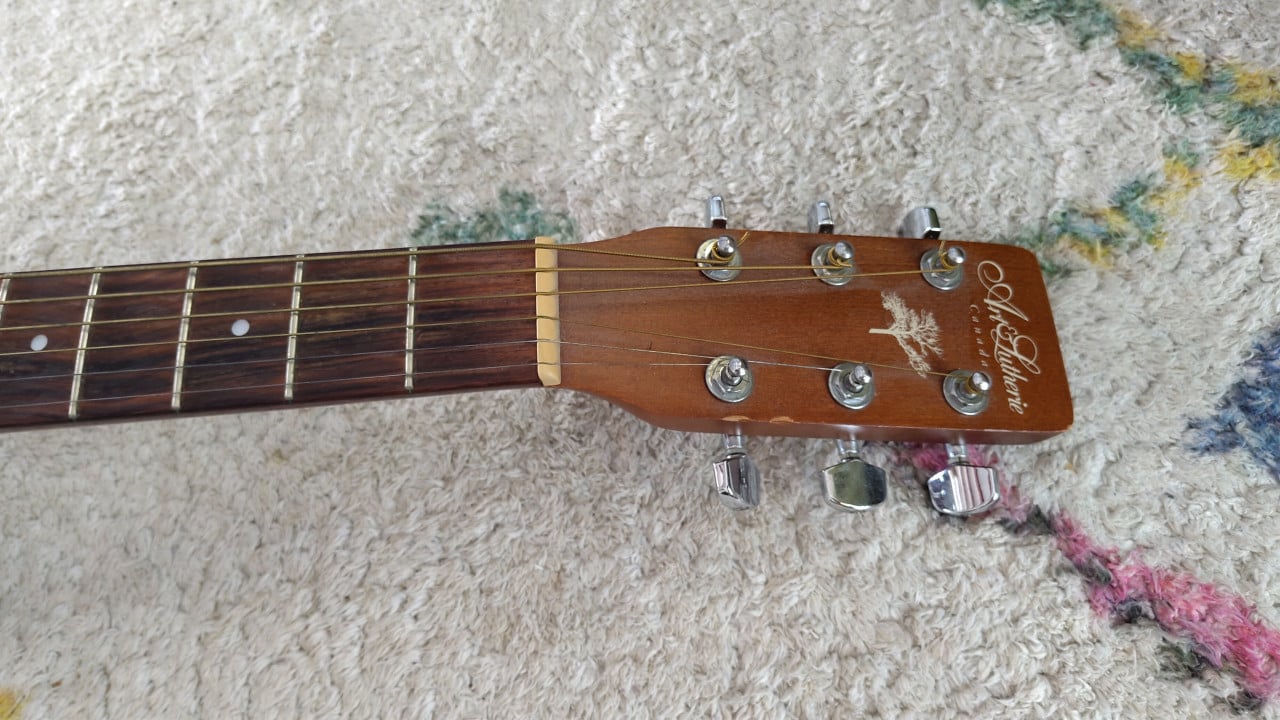 Art & Lutherie Cedar Dreadnought