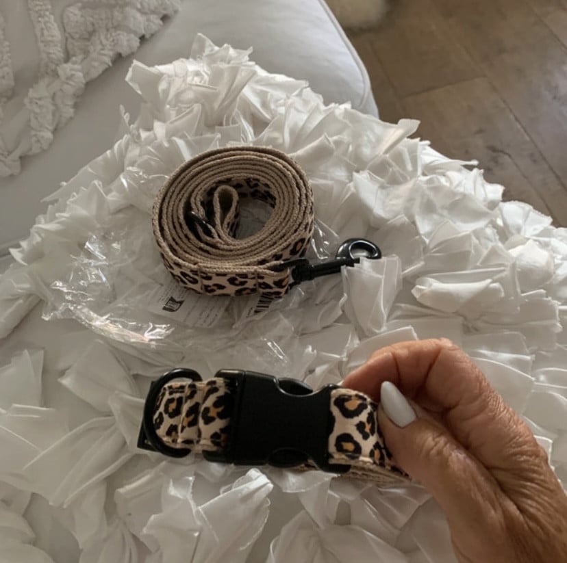 Honden halsband met riem