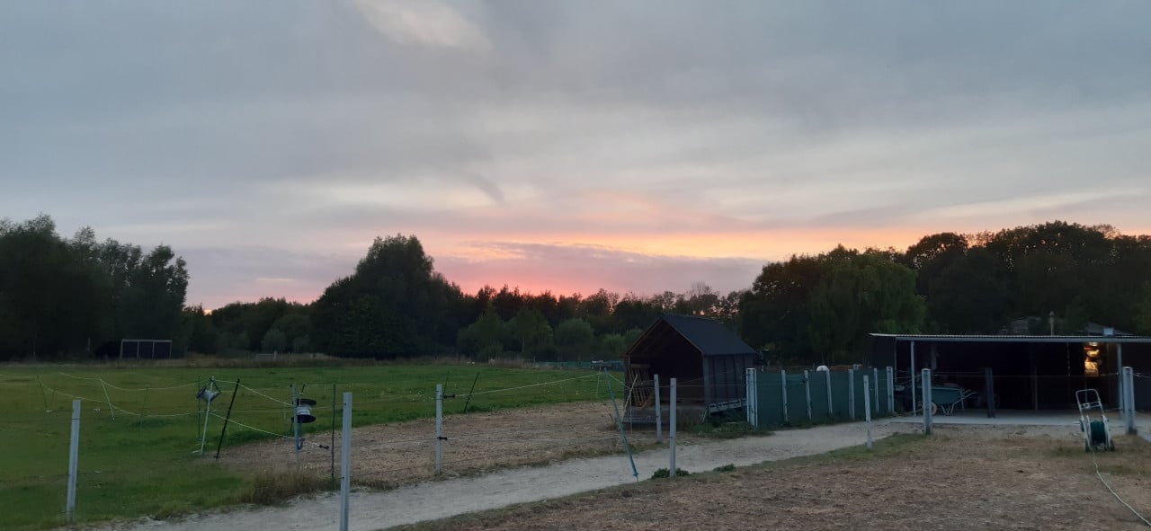 Plekje vrij op paddock paradise Oostkapelle