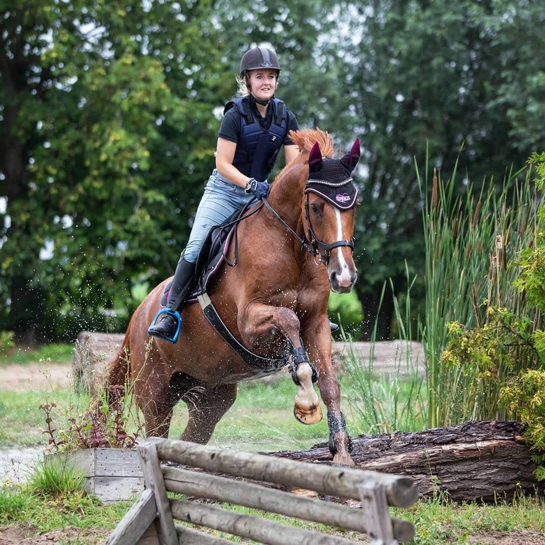 Talentvolle vos ruin (2009)