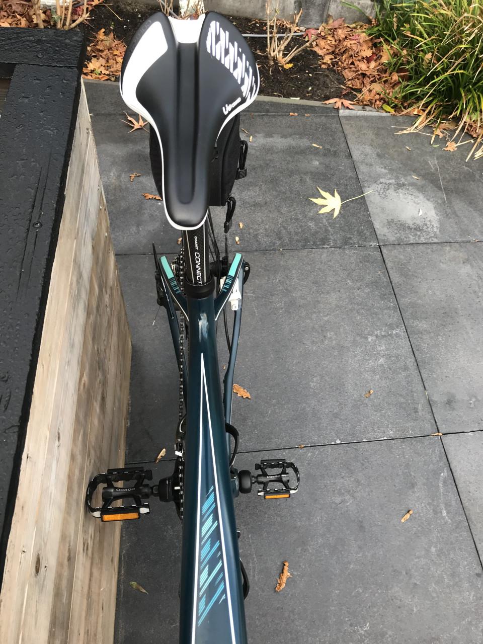 Giant Trive Dames Fiets