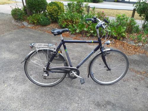 """"GAZELLE HERENFIETS framemaat 61 cm // media Track en Trail""""
