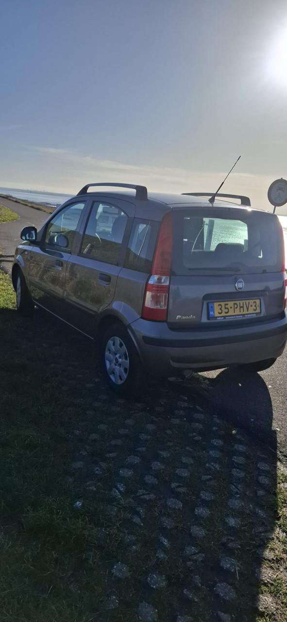 Fiat panda