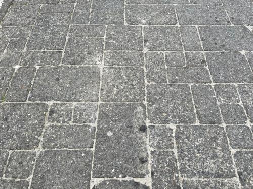 Gratis op te halen: ca. 100 m2 bestrating