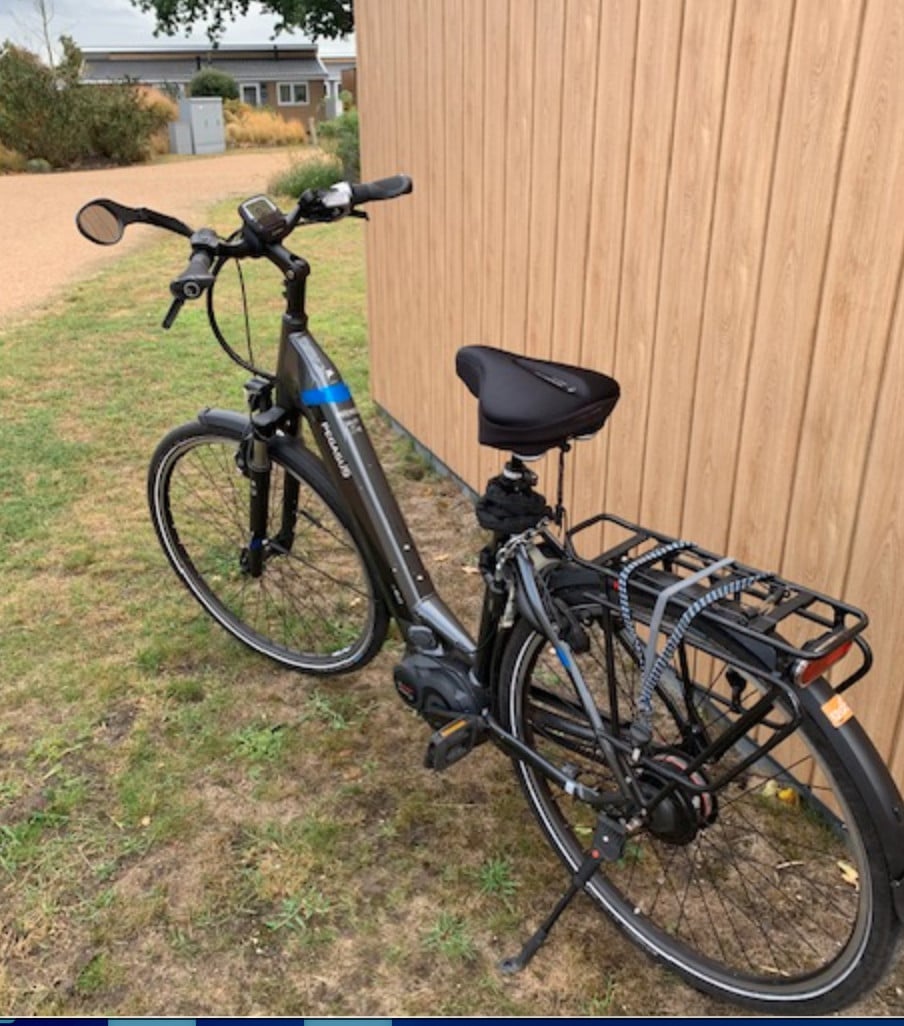 Pegasus E bike Premio EVO NU.E met Bosch motor EX