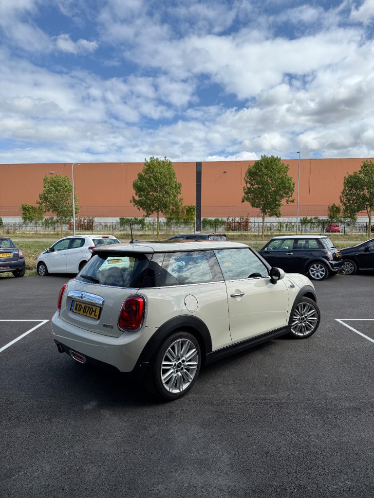 Mini Cooper 1.5 - chili - pano