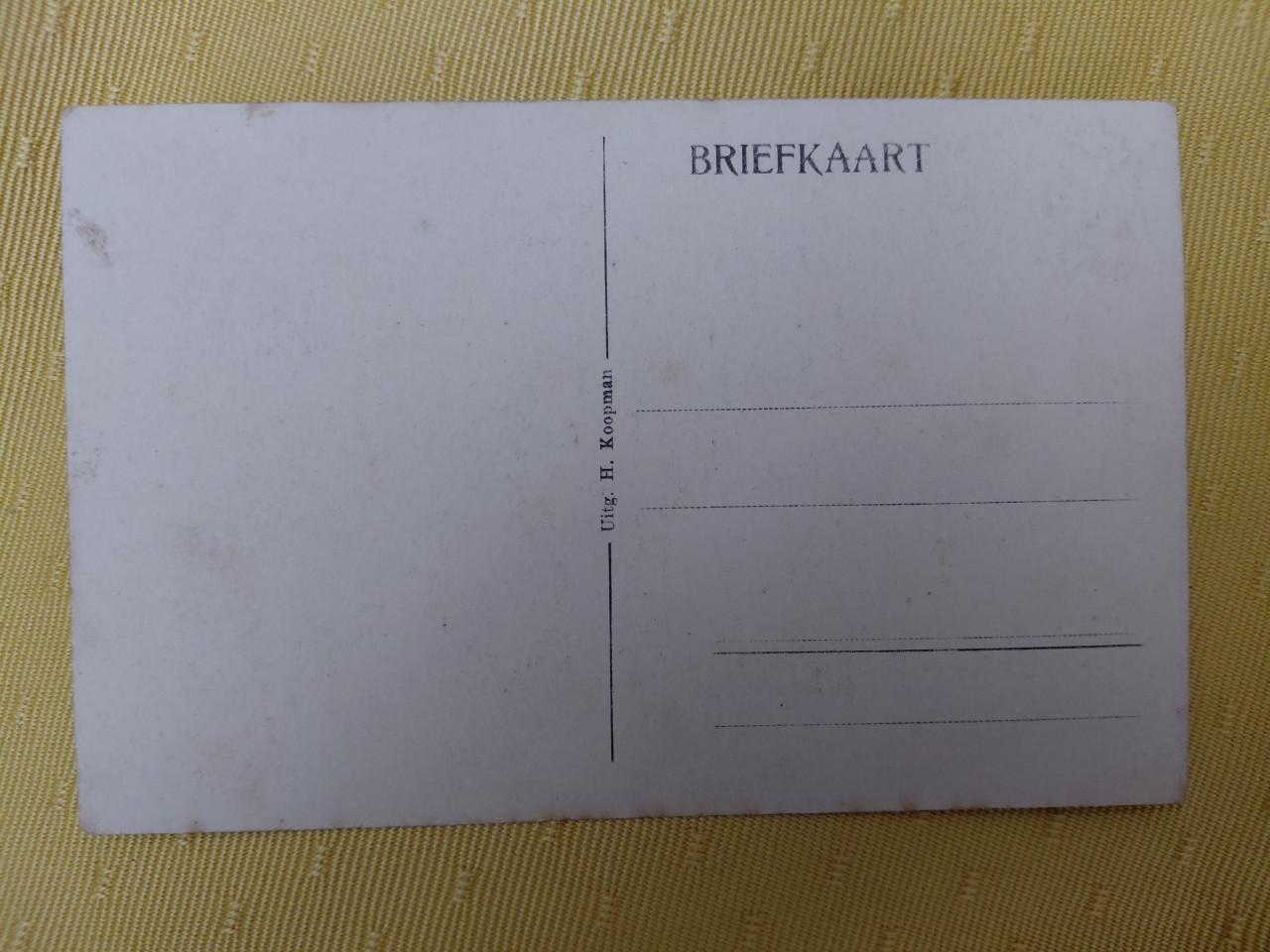 Oude ansichtkaart Heinkenszand, Clarispad Christelyke school