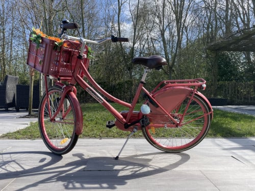 Meisjes fiets