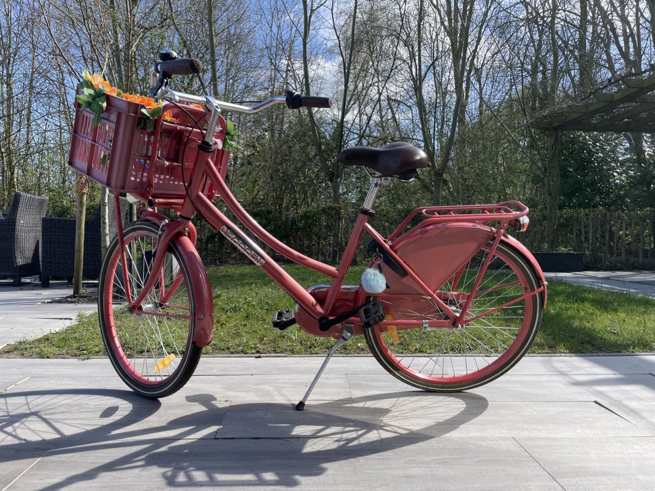 Meisjes fiets