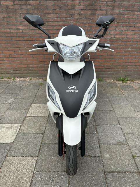 GEEN RIJBEWIJS ? NIET NODIG MET DEZE STOERE NIPPONIA PRIDE !