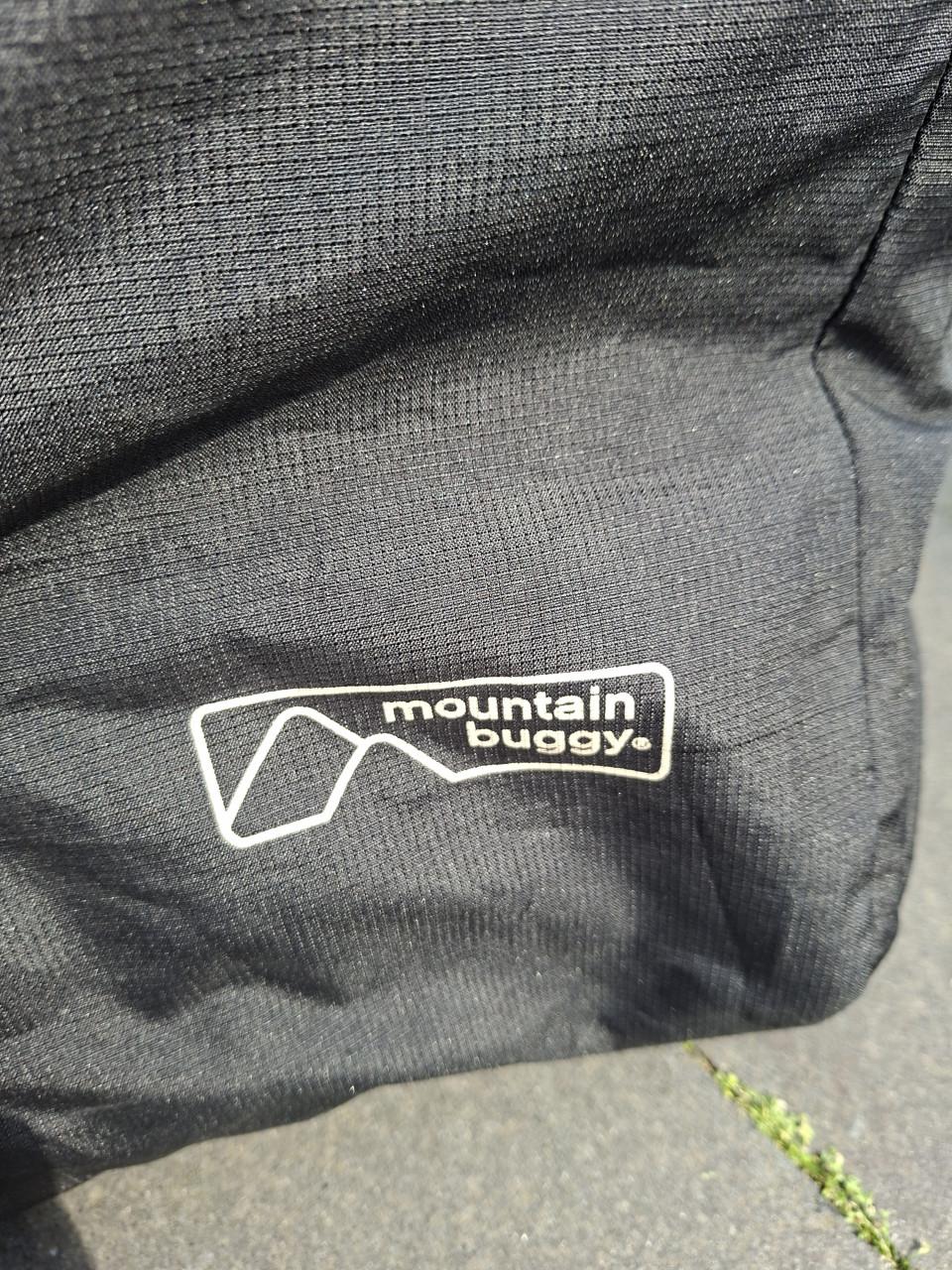Buggy