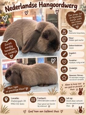 Lieve prachtige NHD ram