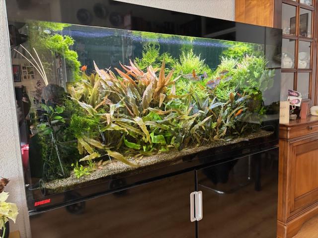 Aquarium compleet