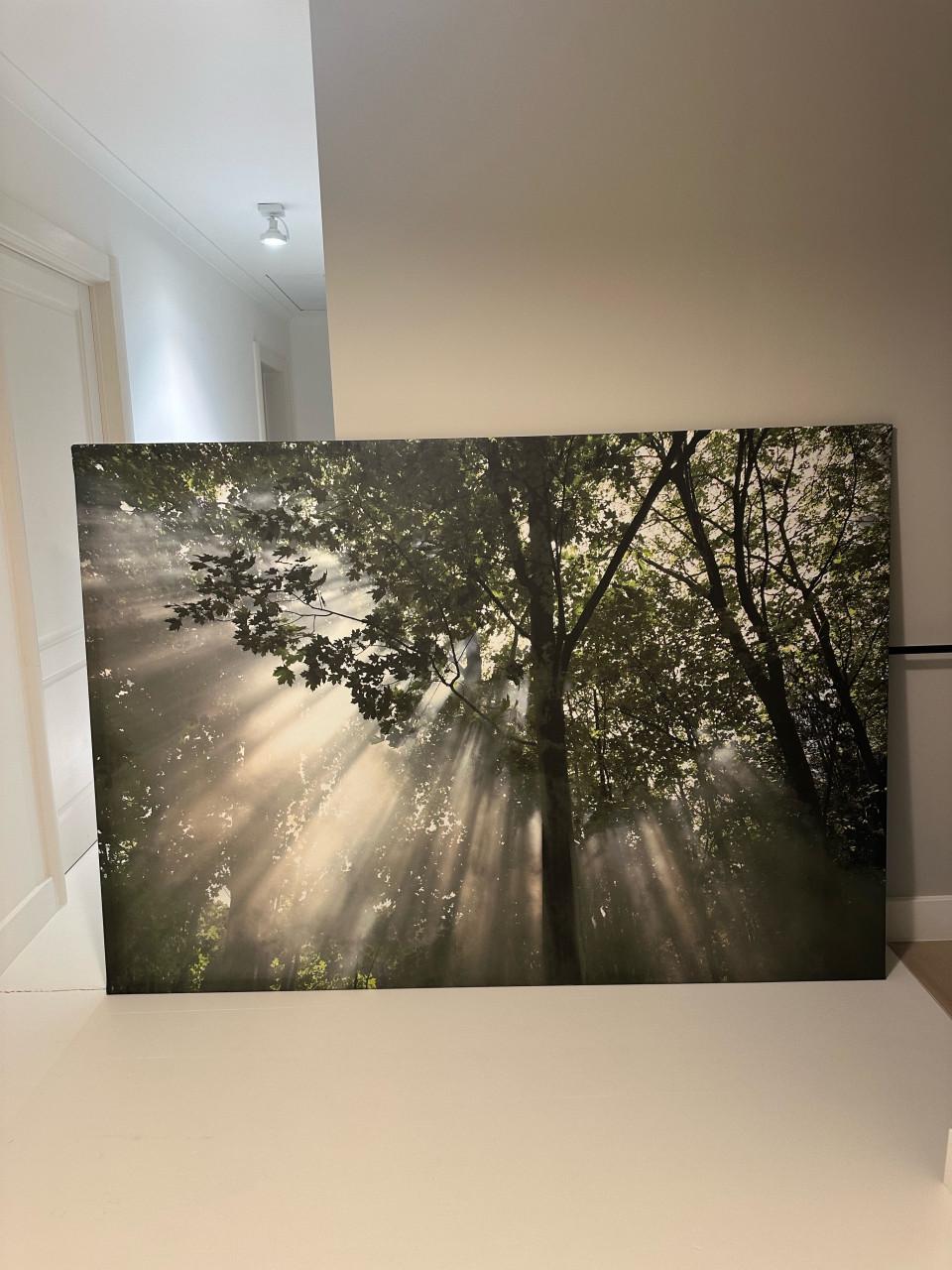 Schilderij met bomen van Ikea