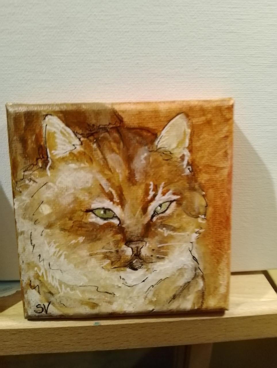 Portret van je favoriete huisdier - KENNISMAKINGSTARIEF FEBRUARI!!