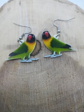 Acryl Oorhangers  NIEUW