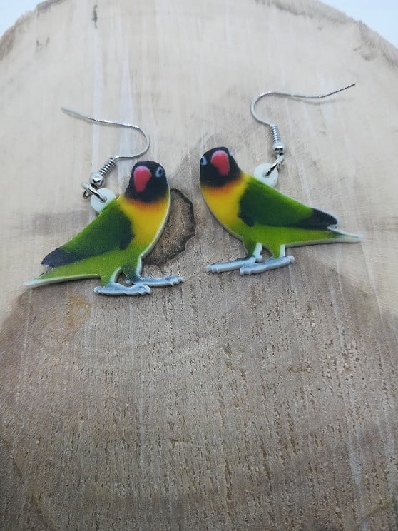 Acryl Oorhangers  NIEUW