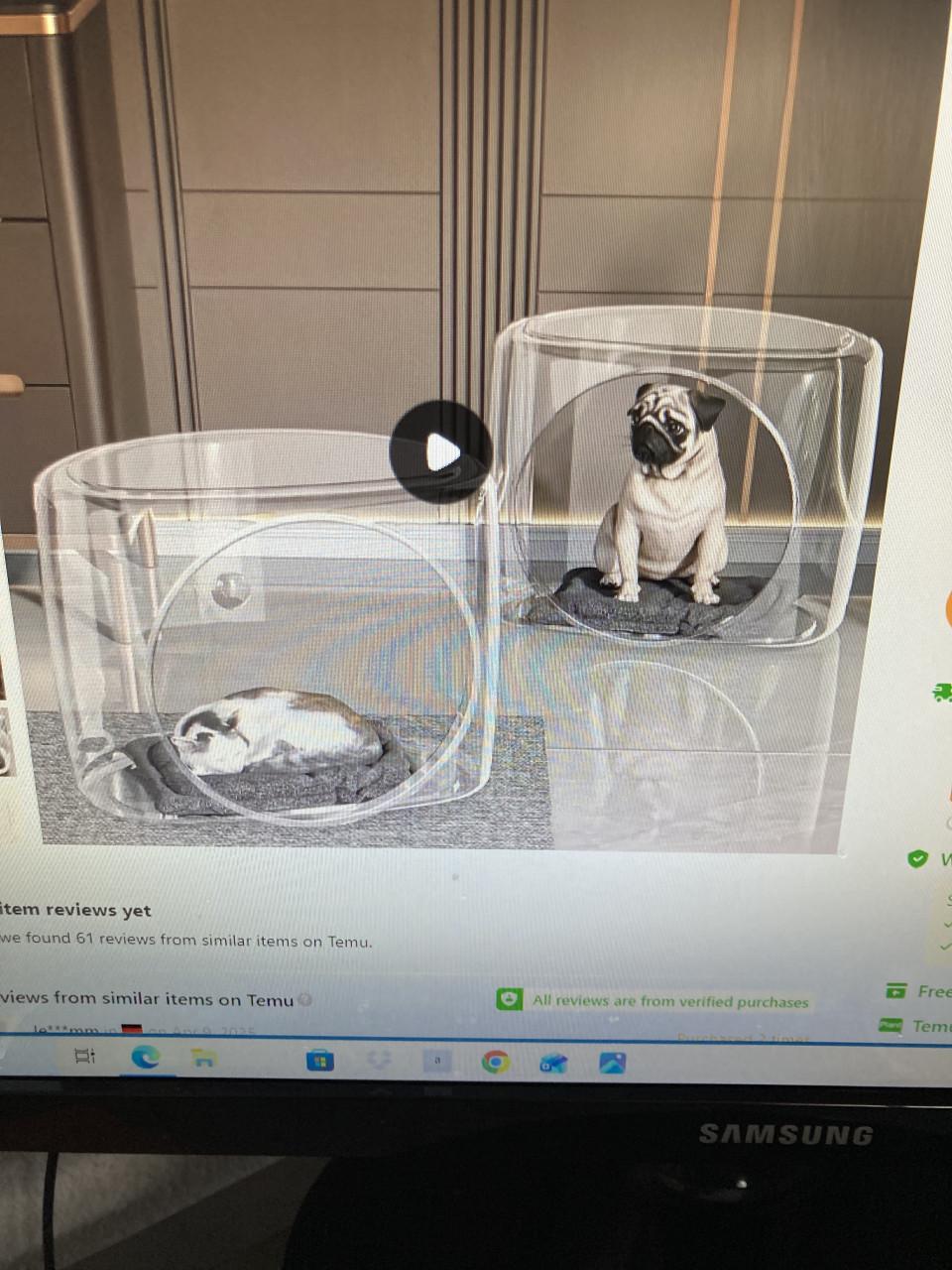 Honden en of kattenhuisje