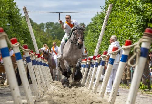 Zaterdag 5 September ringsteken Wemeldinge tijdens rommelroute