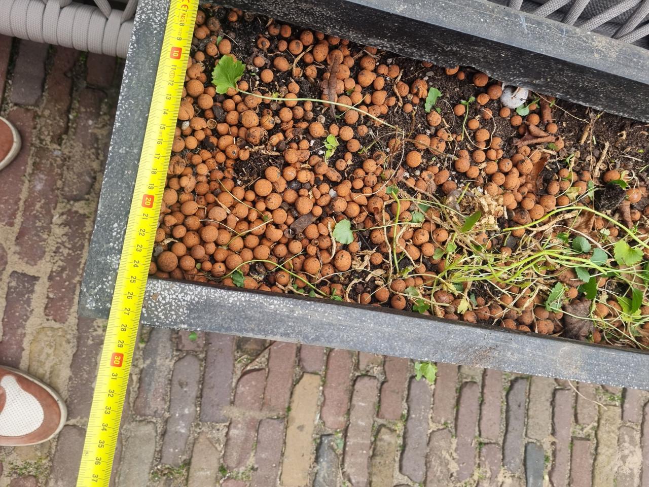 Gratis bloembakken ophalen