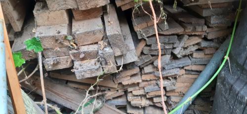 Haardhout  kachelhout