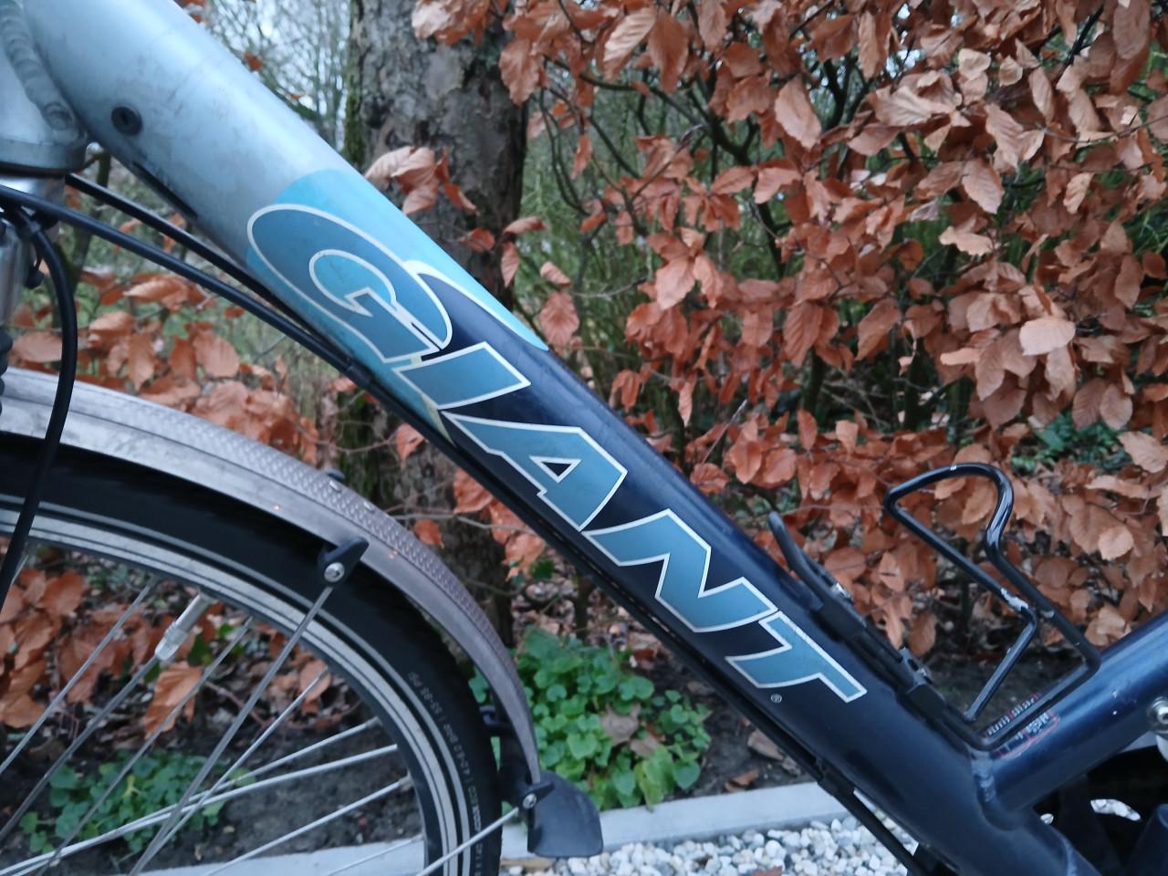 Giant trooper herenfiets of jongensfiets