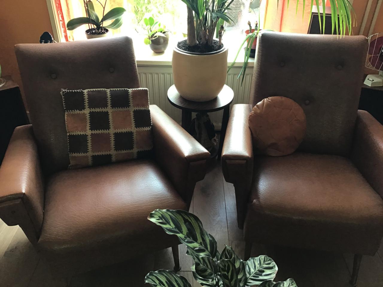 2 Vintage jaren 60 skai fauteuils