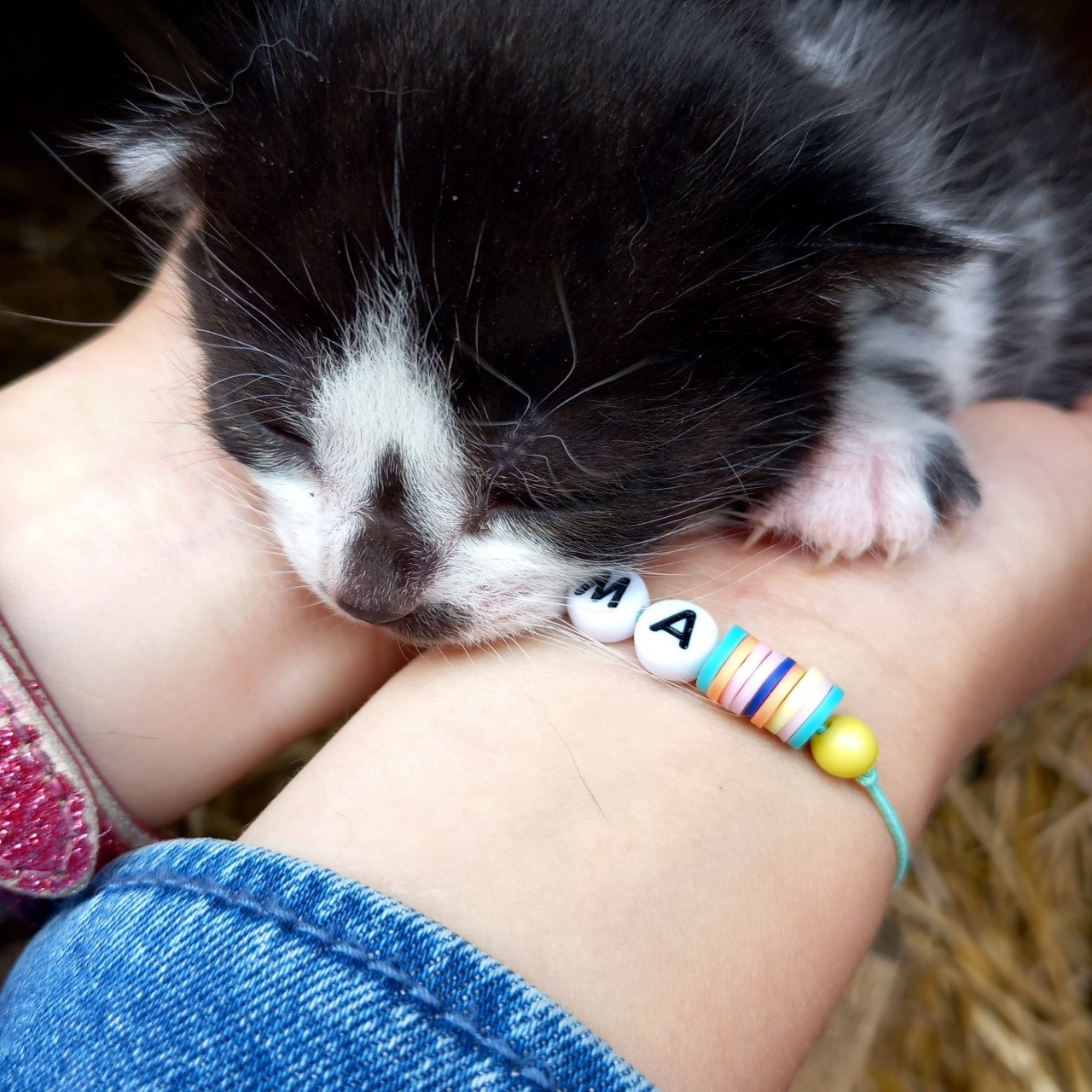 2 prachtige nestjes kittens